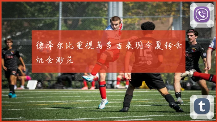 德泽尔比重视乌多吉表现今夏转会机会渺茫